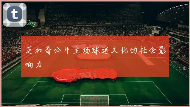 芝加哥公牛主场球迷文化的社会影响力