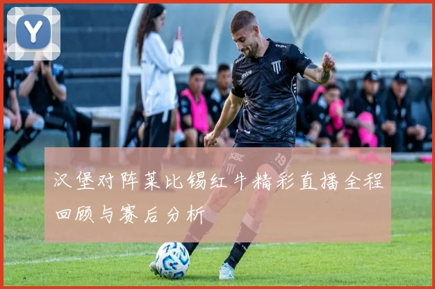 汉堡对阵莱比锡红牛精彩直播全程回顾与赛后分析