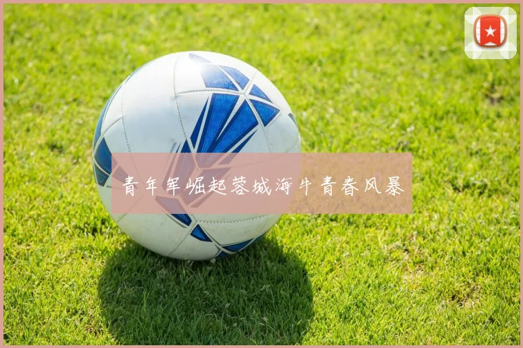 青年军崛起蓉城海牛青春风暴