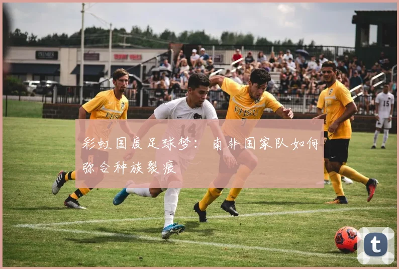 彩虹国度足球梦：南非国家队如何弥合种族裂痕